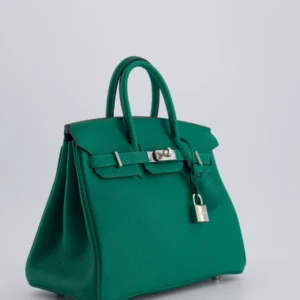 Hermès Birkin 25cm Retourne Bag in Vert Vertigo Togo Leather with Palladium Hardware